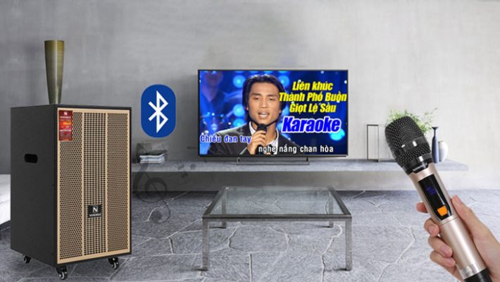 Cho Thuê Loa Kéo Tại Sơn Trà Đà Nẵng - Đầy Đủ Loại Lớn Nhỏ, Có Màn Hình Tivi